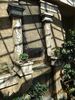 Filename=20160319_056.jpg
Filesize=754KiB
Dimensions=1536x2048
Date added=Sep 25, 2016 20160319_056.jpg