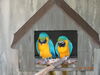 Filename=20160319_066.jpg
Filesize=475KiB
Dimensions=2048x1536
Date added=Sep 25, 2016 20160319_066.jpg