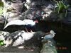 Filename=20160319_088.jpg
Filesize=757KiB
Dimensions=2048x1536
Date added=Sep 25, 2016 20160319_088.jpg