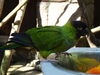 Filename=20160319_089.jpg
Filesize=321KiB
Dimensions=2048x1536
Date added=Sep 25, 2016 20160319_089.jpg