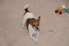 Filename=20160523_004.jpg
Filesize=402KiB
Dimensions=2047x1360
Date added=Sep 25, 2016 20160523_004.jpg
