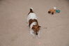 Filename=20160523_006.jpg
Filesize=411KiB
Dimensions=2047x1360
Date added=Sep 25, 2016 20160523_006.jpg