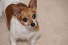 Filename=20160523_009.jpg
Filesize=266KiB
Dimensions=2047x1360
Date added=Sep 25, 2016 20160523_009.jpg