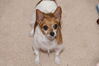 Filename=20160523_011.jpg
Filesize=276KiB
Dimensions=2047x1360
Date added=Sep 25, 2016 20160523_011.jpg
