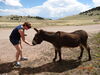 Filename=20160605_001.jpg
Filesize=828KiB
Dimensions=2048x1536
Date added=Sep 25, 2016 20160605_001.jpg