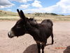 Filename=20160605_005.jpg
Filesize=742KiB
Dimensions=2048x1536
Date added=Sep 25, 2016 20160605_005.jpg