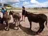 Filename=20160605_007.jpg
Filesize=817KiB
Dimensions=2048x1536
Date added=Sep 25, 2016 20160605_007.jpg