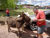 Filename=20160605_016.jpg
Filesize=889KiB
Dimensions=2048x1536
Date added=Sep 25, 2016 20160605_016.jpg