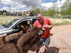 Filename=20160605_017.jpg
Filesize=859KiB
Dimensions=2048x1536
Date added=Sep 25, 2016 20160605_017.jpg
