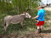 Filename=20160605_018.jpg
Filesize=1147KiB
Dimensions=2048x1536
Date added=Sep 25, 2016 20160605_018.jpg