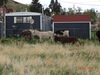 Filename=20160605_025.jpg
Filesize=924KiB
Dimensions=2048x1536
Date added=Sep 25, 2016 20160605_025.jpg