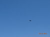 Filename=20160625_009.jpg
Filesize=116KiB
Dimensions=2048x1536
Date added=Mar 05, 2017 20160625_009.jpg
