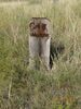 Filename=20160724_007.jpg
Filesize=1310KiB
Dimensions=1536x2048
Date added=Sep 26, 2016 20160724_007.jpg