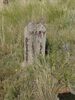 Filename=20160724_008.jpg
Filesize=1263KiB
Dimensions=1536x2048
Date added=Sep 26, 2016 20160724_008.jpg