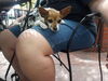 Filename=20160827_001.jpg
Filesize=480KiB
Dimensions=2048x1536
Date added=Jul 25, 2019 20160827_001.jpg