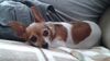 Filename=20160902_001.jpg
Filesize=176KiB
Dimensions=2048x1152
Date added=Mar 05, 2017 20160902_001.jpg