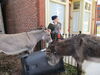Filename=20160903_008.jpg
Filesize=603KiB
Dimensions=2048x1536
Date added=Dec 19, 2018 20160903_008.jpg
