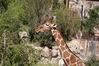 Filename=20160917_003.jpg
Filesize=668KiB
Dimensions=2047x1360
Date added=Mar 25, 2017 20160917_003.jpg