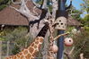 Filename=20160917_005.jpg
Filesize=573KiB
Dimensions=2047x1360
Date added=Mar 25, 2017 20160917_005.jpg