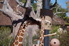 Filename=20160917_006.jpg
Filesize=426KiB
Dimensions=2047x1360
Date added=Mar 25, 2017 20160917_006.jpg