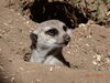 Filename=20160917_014.jpg
Filesize=526KiB
Dimensions=2048x1536
Date added=Mar 25, 2017 20160917_014.jpg