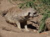 Filename=20160917_016.jpg
Filesize=896KiB
Dimensions=2048x1536
Date added=Mar 25, 2017 20160917_016.jpg