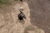 Filename=20160917_019.jpg
Filesize=881KiB
Dimensions=2047x1360
Date added=Mar 25, 2017 20160917_019.jpg