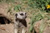 Filename=20160917_021.jpg
Filesize=349KiB
Dimensions=2047x1360
Date added=Mar 25, 2017 20160917_021.jpg