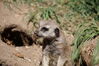 Filename=20160917_024.jpg
Filesize=412KiB
Dimensions=2047x1360
Date added=Mar 25, 2017 20160917_024.jpg