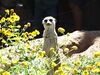Filename=20160917_026.jpg
Filesize=547KiB
Dimensions=2048x1536
Date added=Mar 25, 2017 20160917_026.jpg