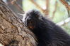 Filename=20160917_047.jpg
Filesize=428KiB
Dimensions=2047x1360
Date added=Mar 25, 2017 20160917_047.jpg