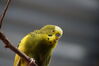 Filename=20160917_068.jpg
Filesize=294KiB
Dimensions=2047x1360
Date added=Mar 25, 2017 20160917_068.jpg