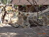 Filename=20160917_073.jpg
Filesize=584KiB
Dimensions=2048x1536
Date added=Mar 25, 2017 20160917_073.jpg