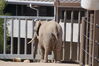 Filename=20160917_075.jpg
Filesize=419KiB
Dimensions=2047x1360
Date added=Mar 25, 2017 20160917_075.jpg