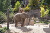 Filename=20160917_076.jpg
Filesize=753KiB
Dimensions=2047x1360
Date added=Mar 25, 2017 20160917_076.jpg