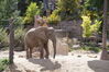 Filename=20160917_077.jpg
Filesize=717KiB
Dimensions=2047x1360
Date added=Mar 25, 2017 20160917_077.jpg