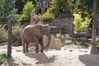 Filename=20160917_078.jpg
Filesize=719KiB
Dimensions=2047x1360
Date added=Mar 25, 2017 20160917_078.jpg