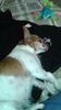 Filename=20160923_001.jpg
Filesize=305KiB
Dimensions=1152x2048
Date added=Dec 19, 2018 20160923_001.jpg
