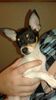 Filename=20161001_008.jpg
Filesize=299KiB
Dimensions=1152x2048
Date added=Dec 19, 2018 20161001_008.jpg