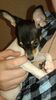 Filename=20161001_009.jpg
Filesize=293KiB
Dimensions=1152x2048
Date added=Dec 19, 2018 20161001_009.jpg