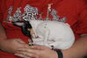 Filename=20161004_003.jpg
Filesize=365KiB
Dimensions=2047x1360
Date added=Dec 19, 2018 20161004_003.jpg