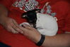 Filename=20161004_005.jpg
Filesize=283KiB
Dimensions=2047x1360
Date added=Dec 19, 2018 20161004_005.jpg