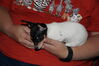 Filename=20161004_007.jpg
Filesize=308KiB
Dimensions=2047x1360
Date added=Dec 19, 2018 20161004_007.jpg