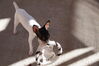 Filename=20161015_009.jpg
Filesize=417KiB
Dimensions=2047x1360
Date added=Dec 19, 2018 20161015_009.jpg