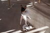 Filename=20161015_014.jpg
Filesize=515KiB
Dimensions=2047x1360
Date added=Dec 19, 2018 20161015_014.jpg