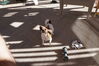 Filename=20161015_016.jpg
Filesize=545KiB
Dimensions=2047x1360
Date added=Dec 19, 2018 20161015_016.jpg