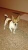 Filename=20161016_001.jpg
Filesize=353KiB
Dimensions=1152x2048
Date added=Dec 19, 2018 20161016_001.jpg