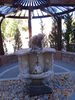 Filename=20161021_026.jpg
Filesize=752KiB
Dimensions=1536x2048
Date added=Dec 19, 2018 20161021_026.jpg