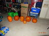 Filename=20161030_007.jpg
Filesize=436KiB
Dimensions=2048x1536
Date added=Dec 19, 2018 20161030_007.jpg