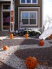 Filename=20161031_003.jpg
Filesize=823KiB
Dimensions=1536x2048
Date added=Dec 19, 2018 20161031_003.jpg